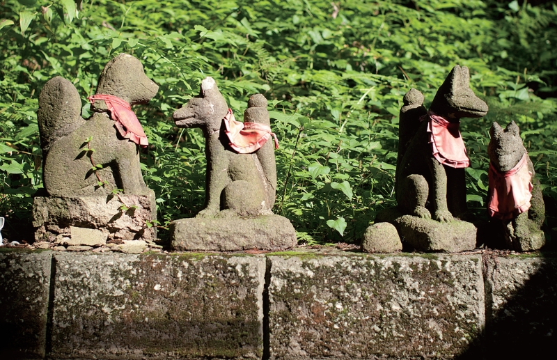 東北緑色革命情報都市「平泉」