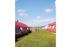 不可思議な羊の正体羊の島――焼尻島