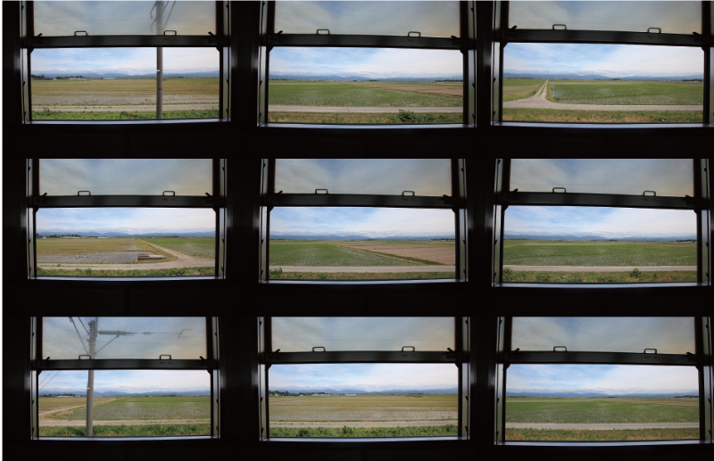 豊穣の地で育まれる伝統野菜