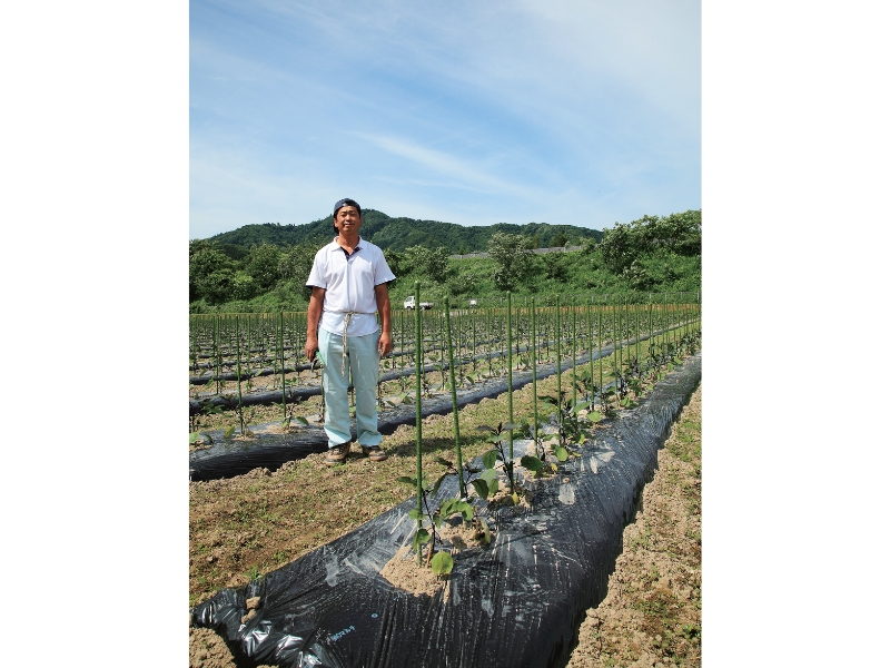 豊穣の地で育まれる伝統野菜