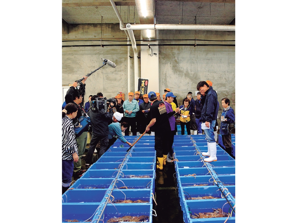 蟹と鳥取の物語松葉がにに沸く岩美町