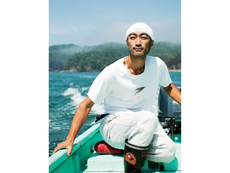 東北緑色革命風景の力、土地の力