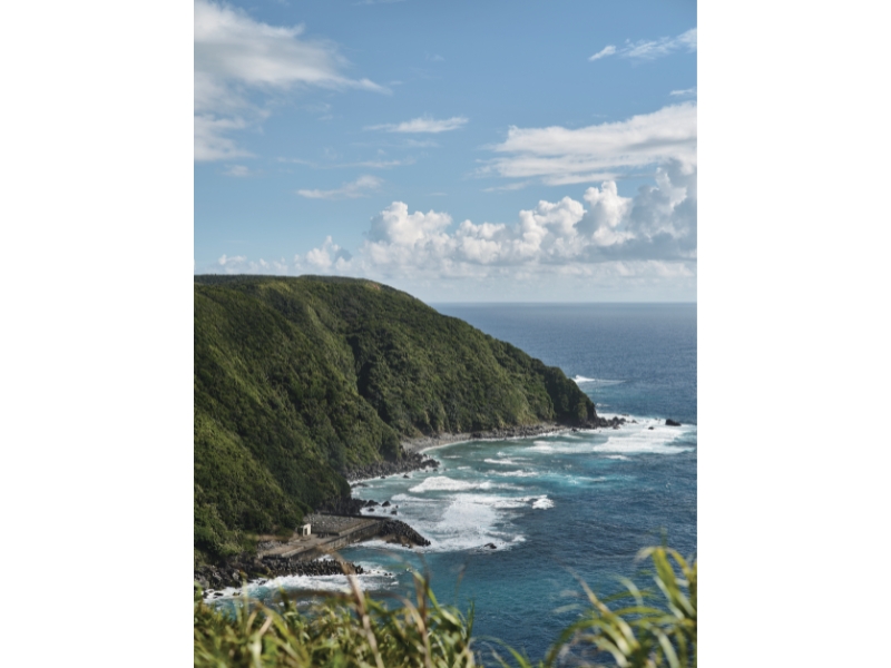 固有種から珊瑚へ沖縄・やんばる