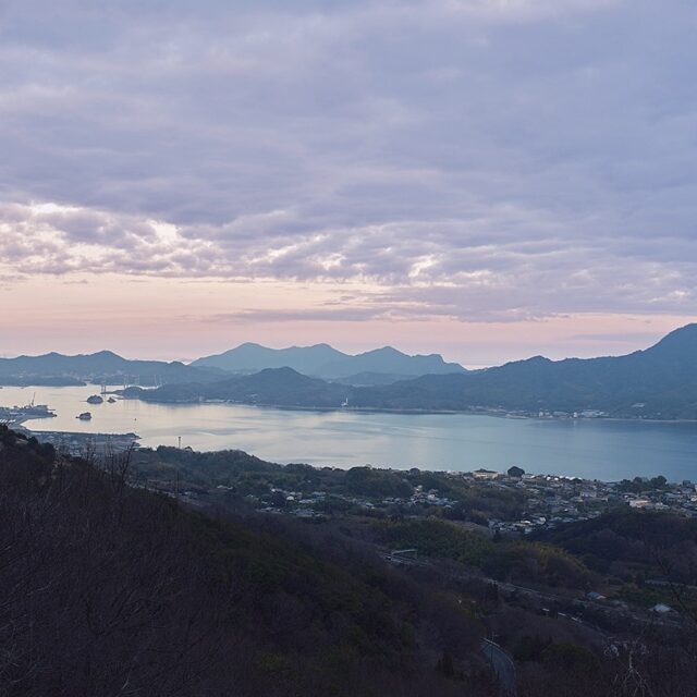 和田竜　天下統一を遅らせた海賊の正体　