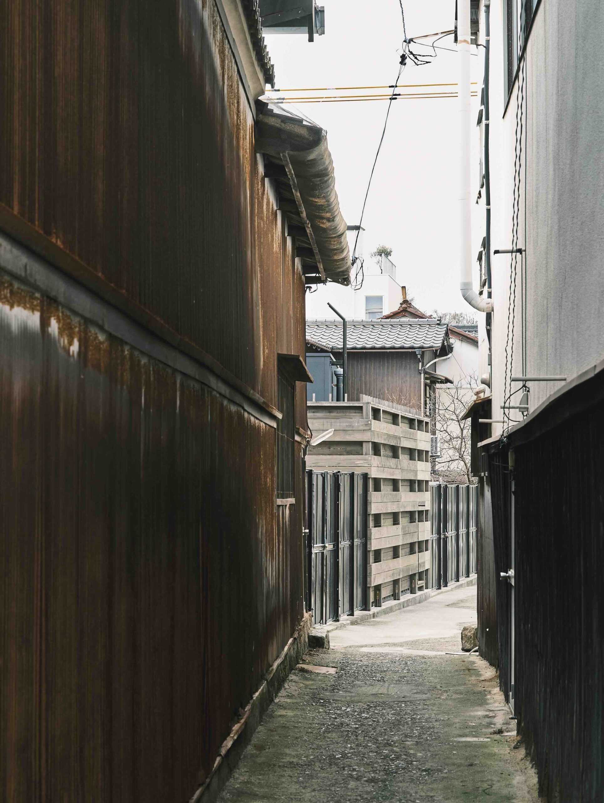 瀬戸内の春、凪を往く