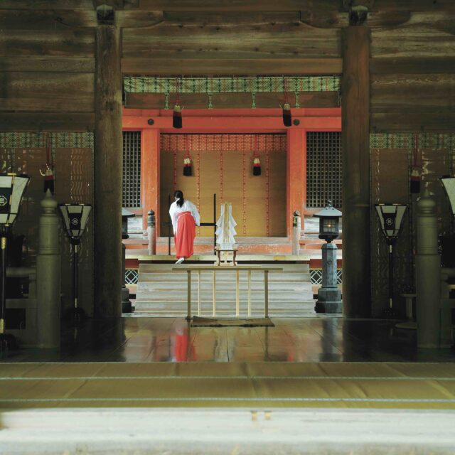 蒼き潮流の系譜