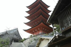 蒼き潮流の系譜