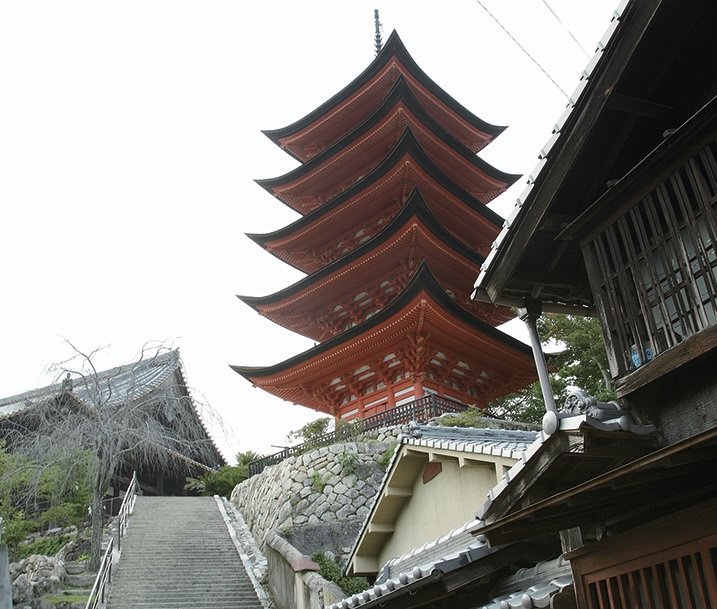 蒼き潮流の系譜