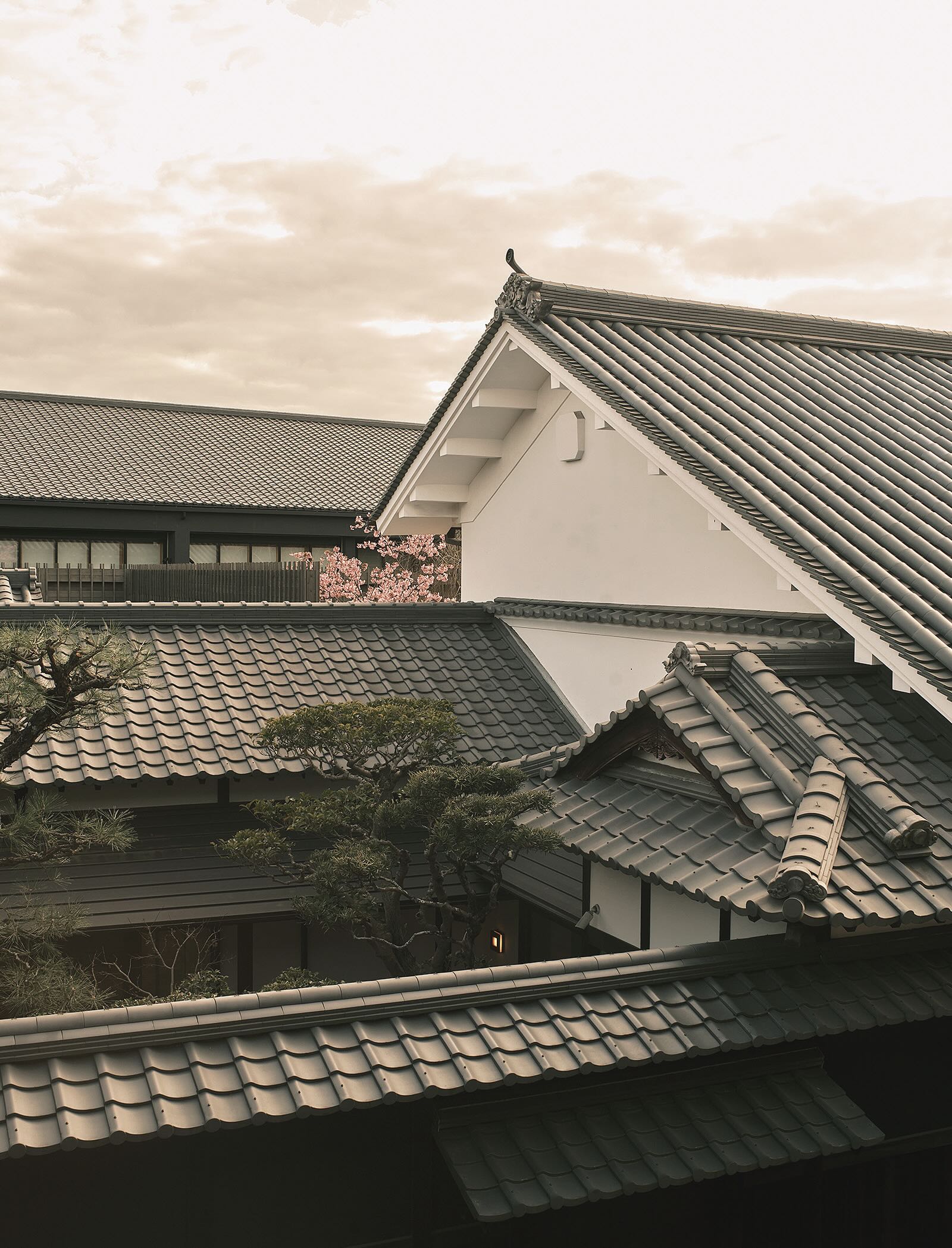 瀬戸内の春、凪を往く