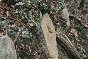 瀬戸内の春、凪を往く