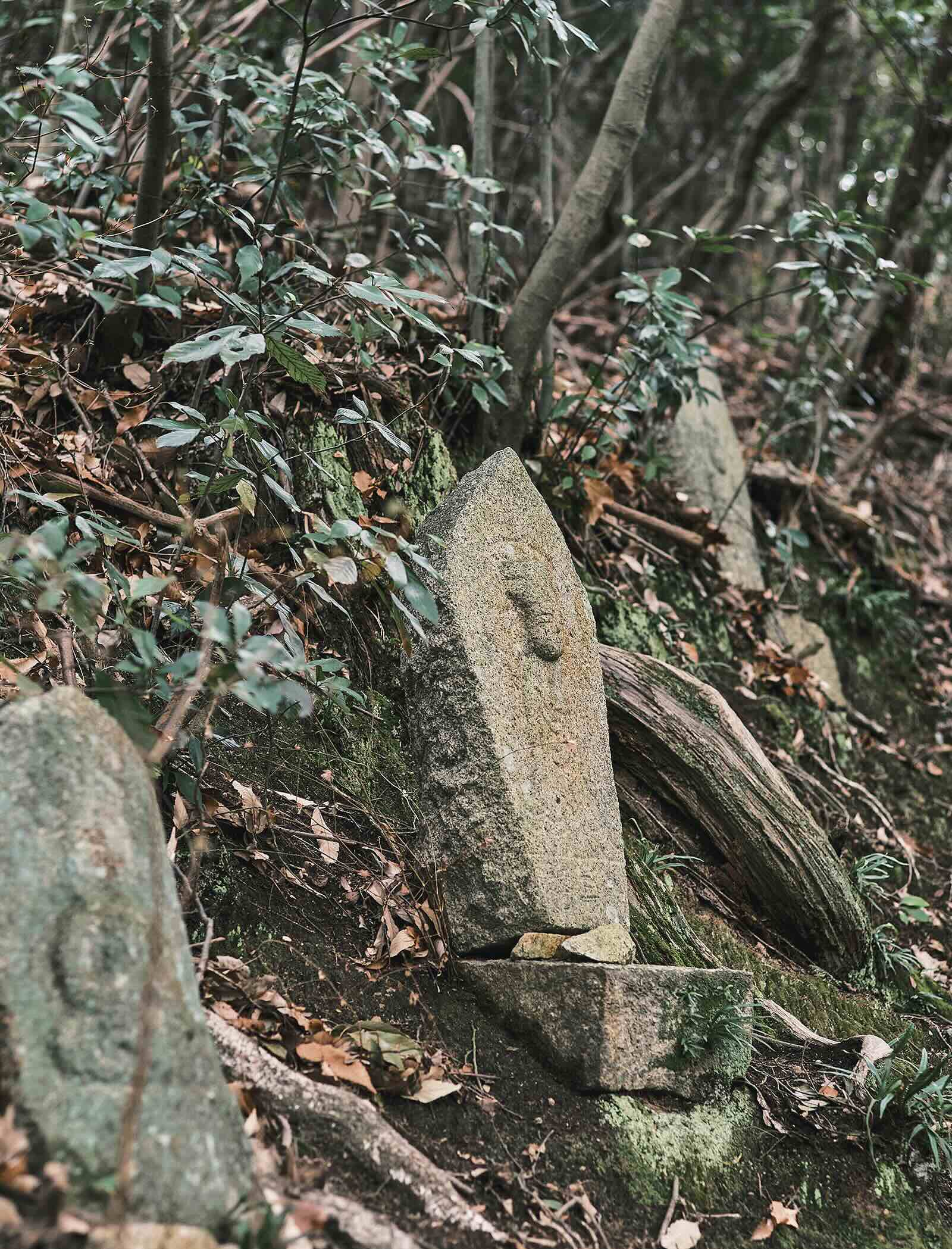 瀬戸内の春、凪を往く