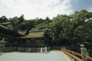 蒼き潮流の系譜