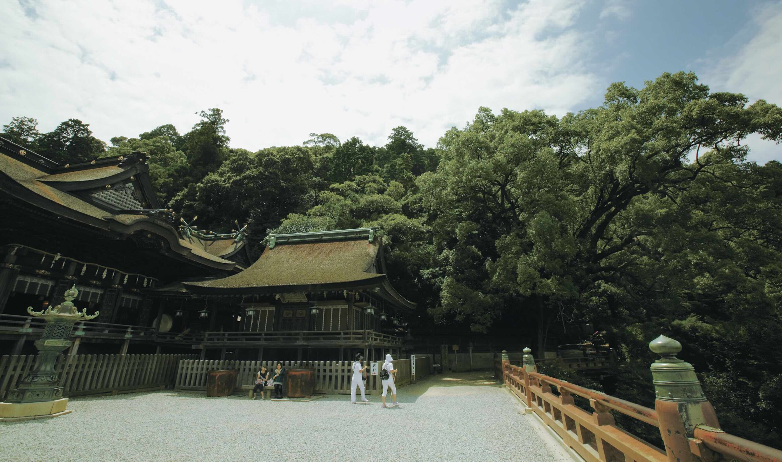 蒼き潮流の系譜