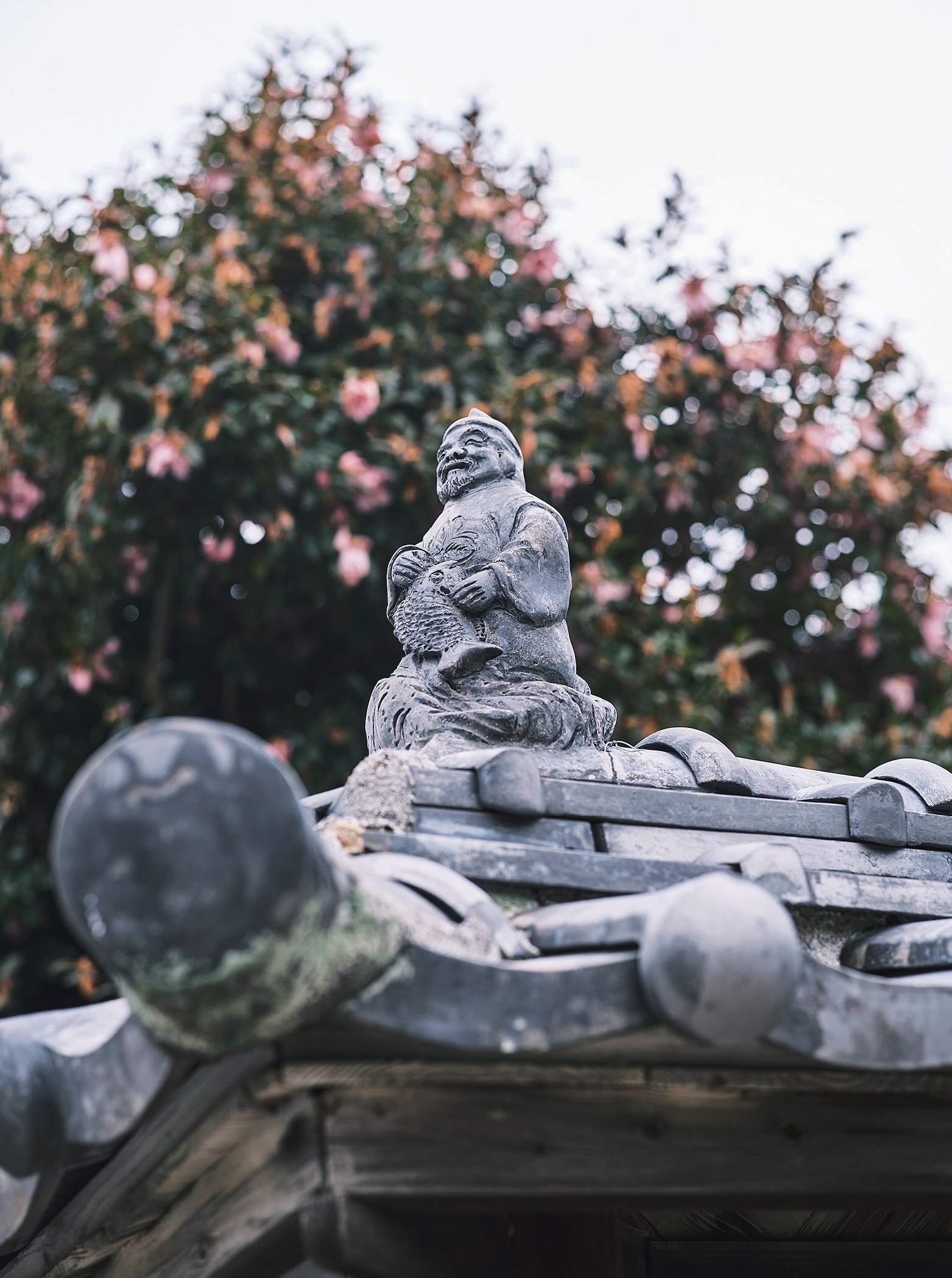 瀬戸内の春、凪を往く