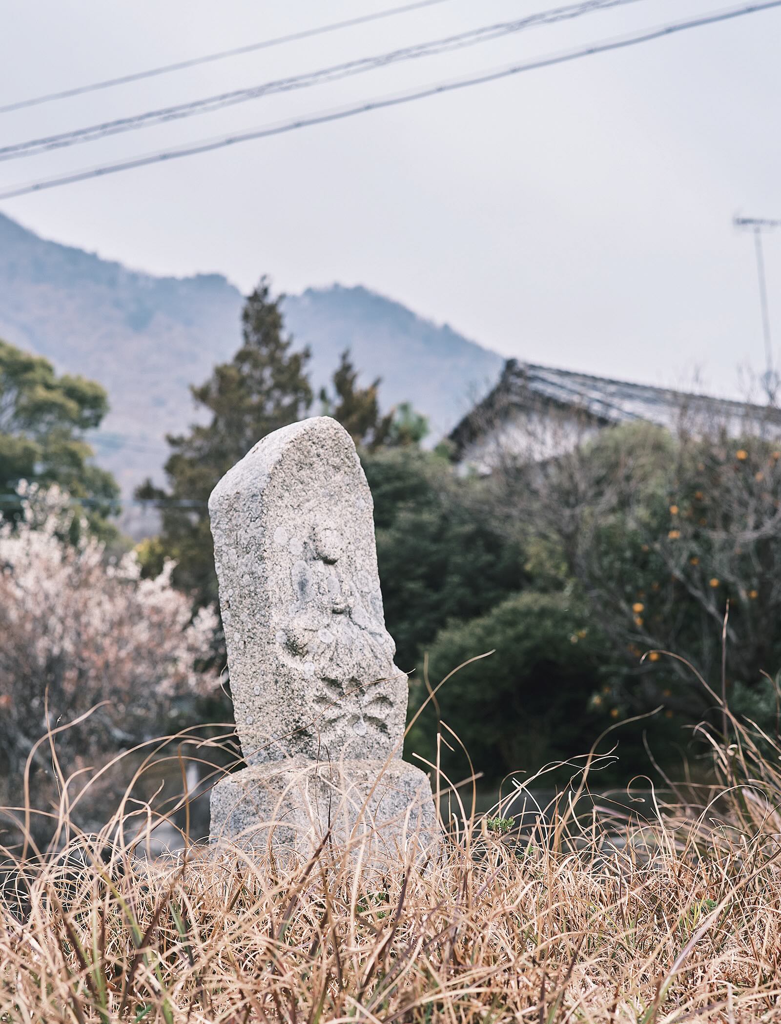 瀬戸内の春、凪を往く