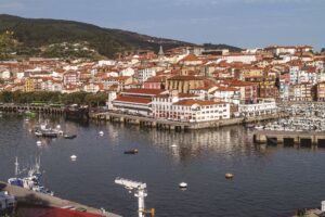 Basque Climate 料理の進化がとまらない