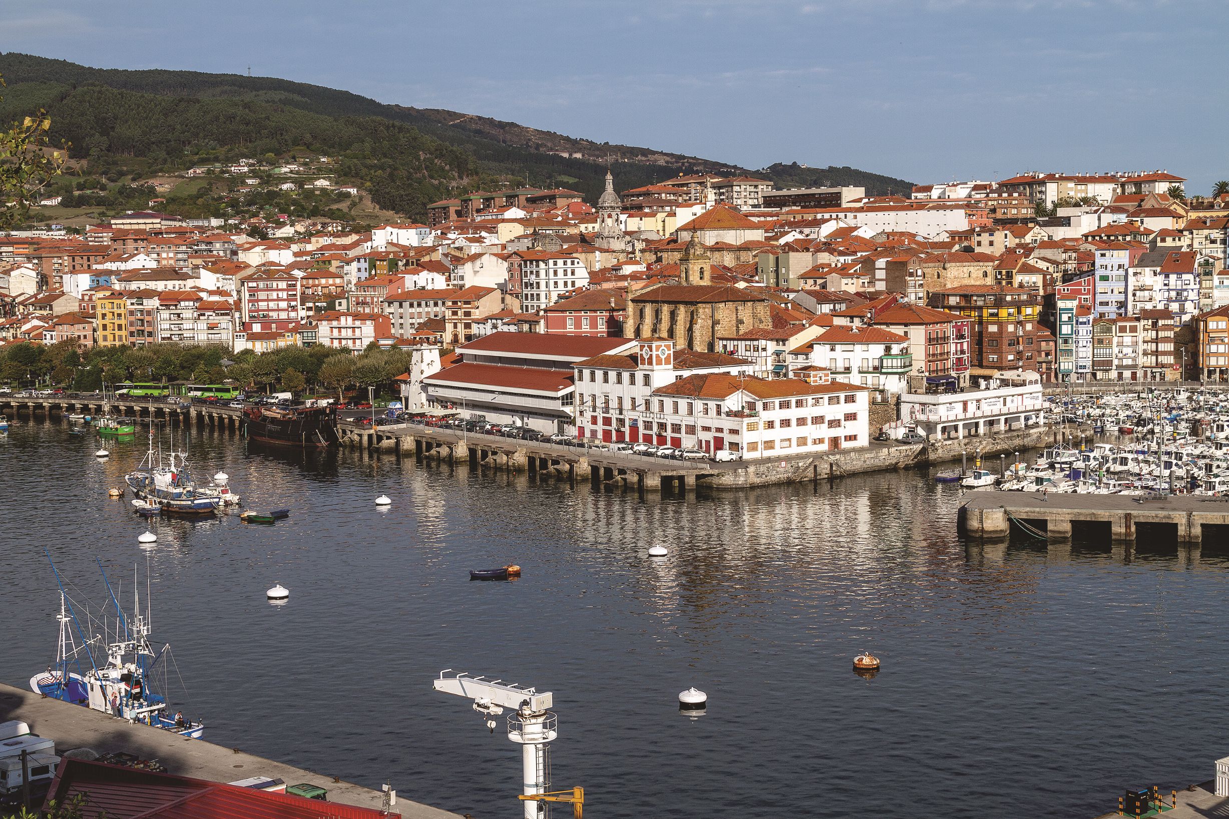 Basque Climate 料理の進化がとまらない