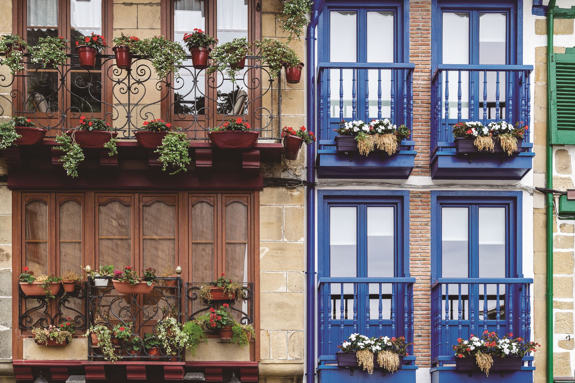 Basque Climate 料理の進化がとまらない