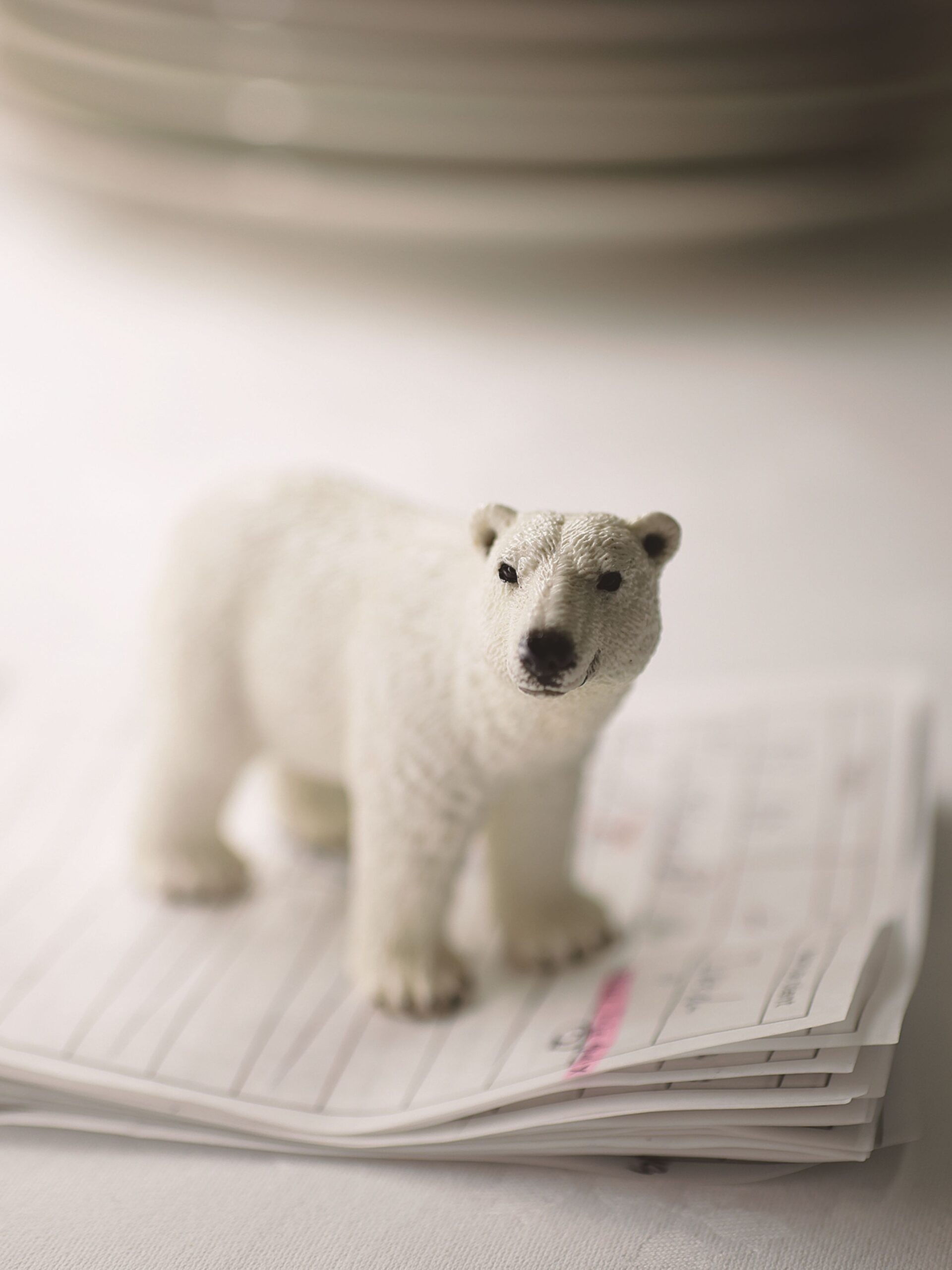 煌めきを繋ぐストイシズムベージュ アラン・デュカス 東京