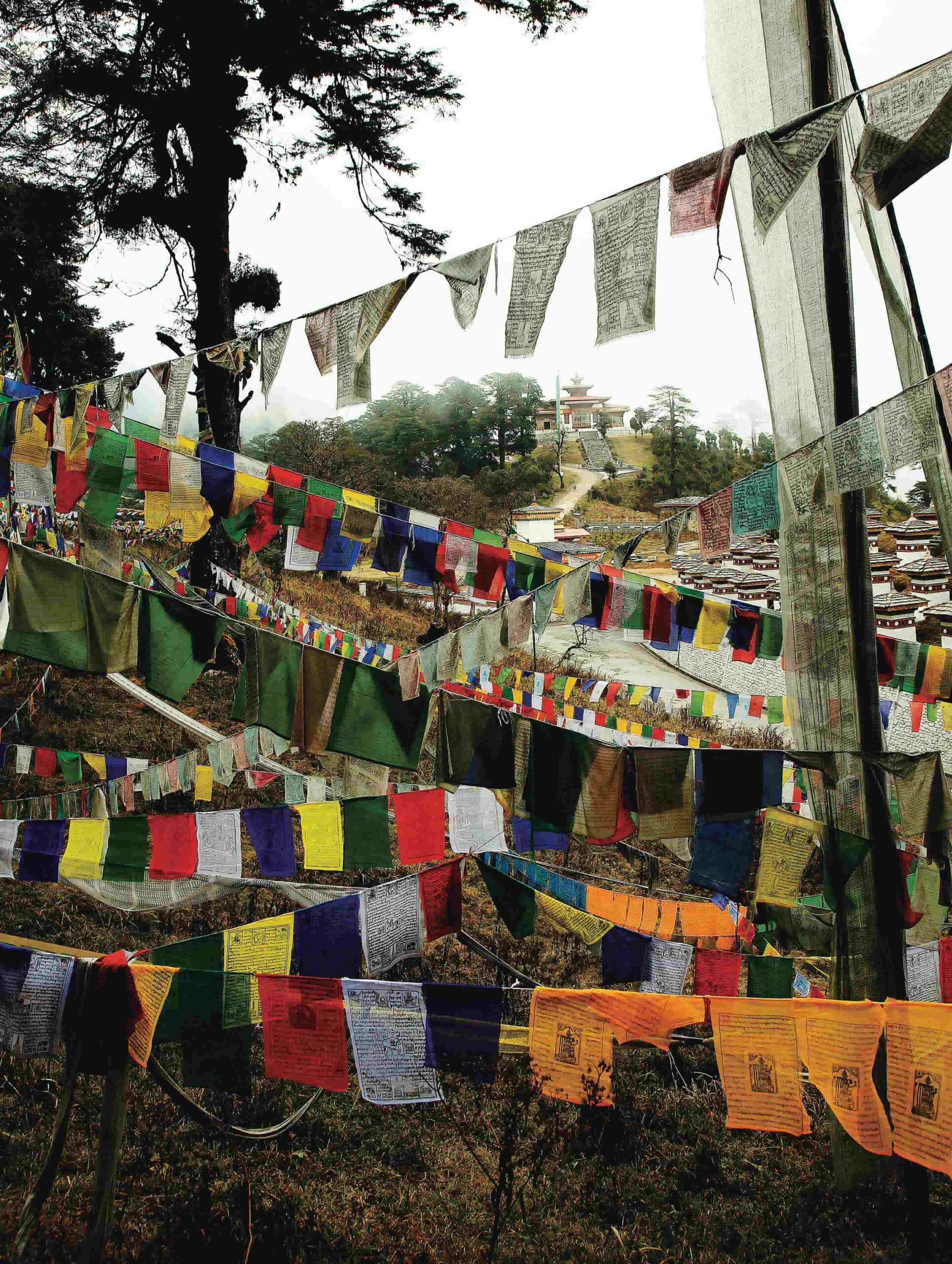 THE LAST KINGDOM IN HIMALAYA　ヒマラヤ最後の王国へ
