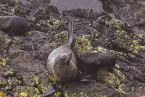 寄り添う、人と大地 Evolution & Symbiosis